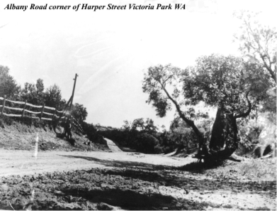 'Albany Road' corner of Harper Street, Victoria Park in 1889. This location was known as “Two Mile Well” as it was two miles from the General Post office located on the corner of St Georges Terrace and Barrack St. (The measuring point is on the corner of Cathedral Avenue and St Georges Terrace.) The image is looking north down Albany Road. If you look closely you will see that the photographer had company on this day in 1889. A young man is leaning on the telegraph pole and to the youth’s left a large dog is laying down. You can also just see that next to the tree on the right which appears to have been either struck by lightning or burnt, a person is sitting to the left of the tree. The photograph appears to have been taken on a bright sunny day at around about 9 or 10 o’clock in the morning.